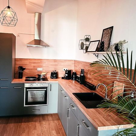 Oasis Appart - Wohnen Im Koenigspark - Elbhang Dresden - Grosse Terrasse - Netflix - Tg ภายนอก รูปภาพ