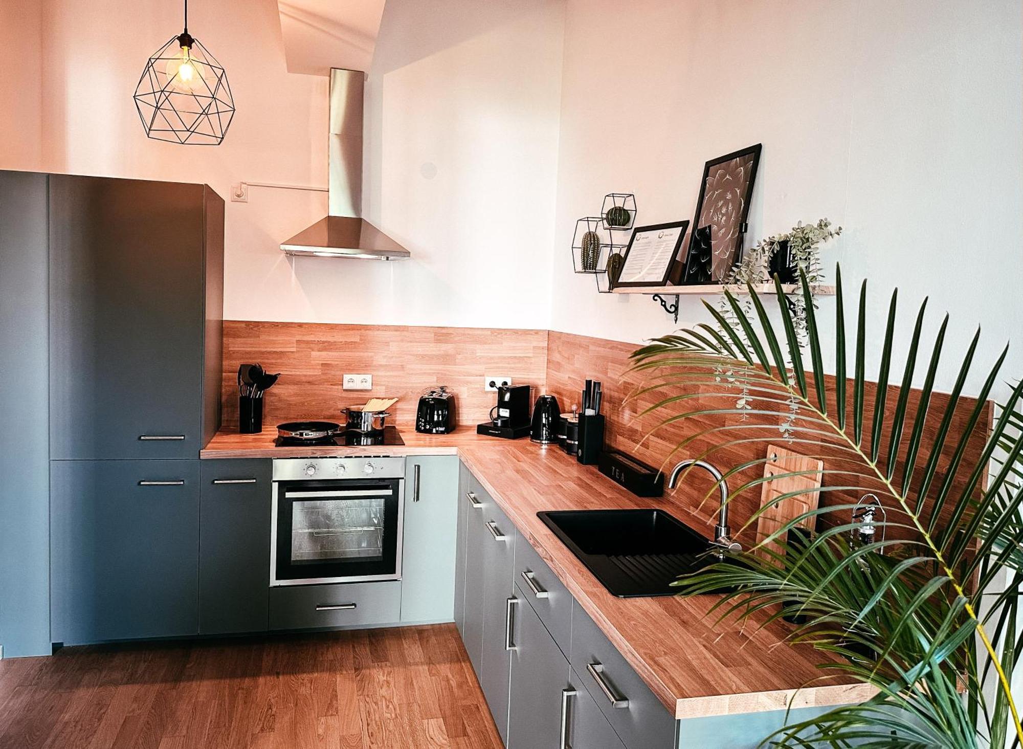 Oasis Appart - Wohnen Im Koenigspark - Elbhang Dresden - Grosse Terrasse - Netflix - Tg ภายนอก รูปภาพ